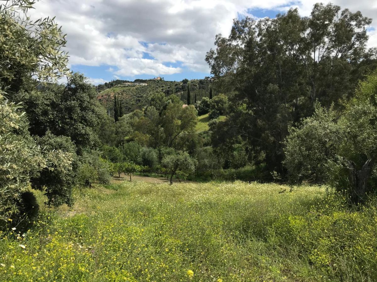 Studio Views Apartment, Cortijo Fruitful Hills Málaga Eksteriør bilde