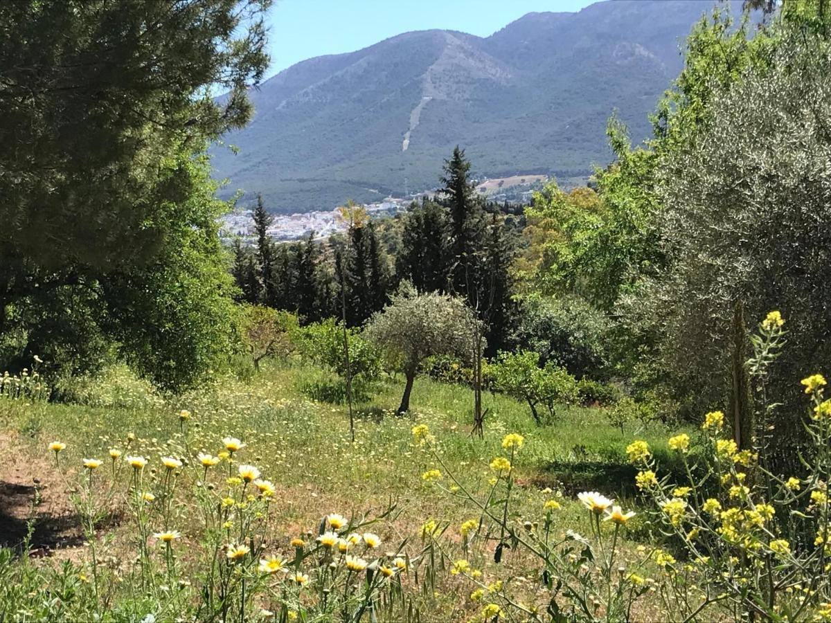 Studio Views Apartment, Cortijo Fruitful Hills Málaga Eksteriør bilde