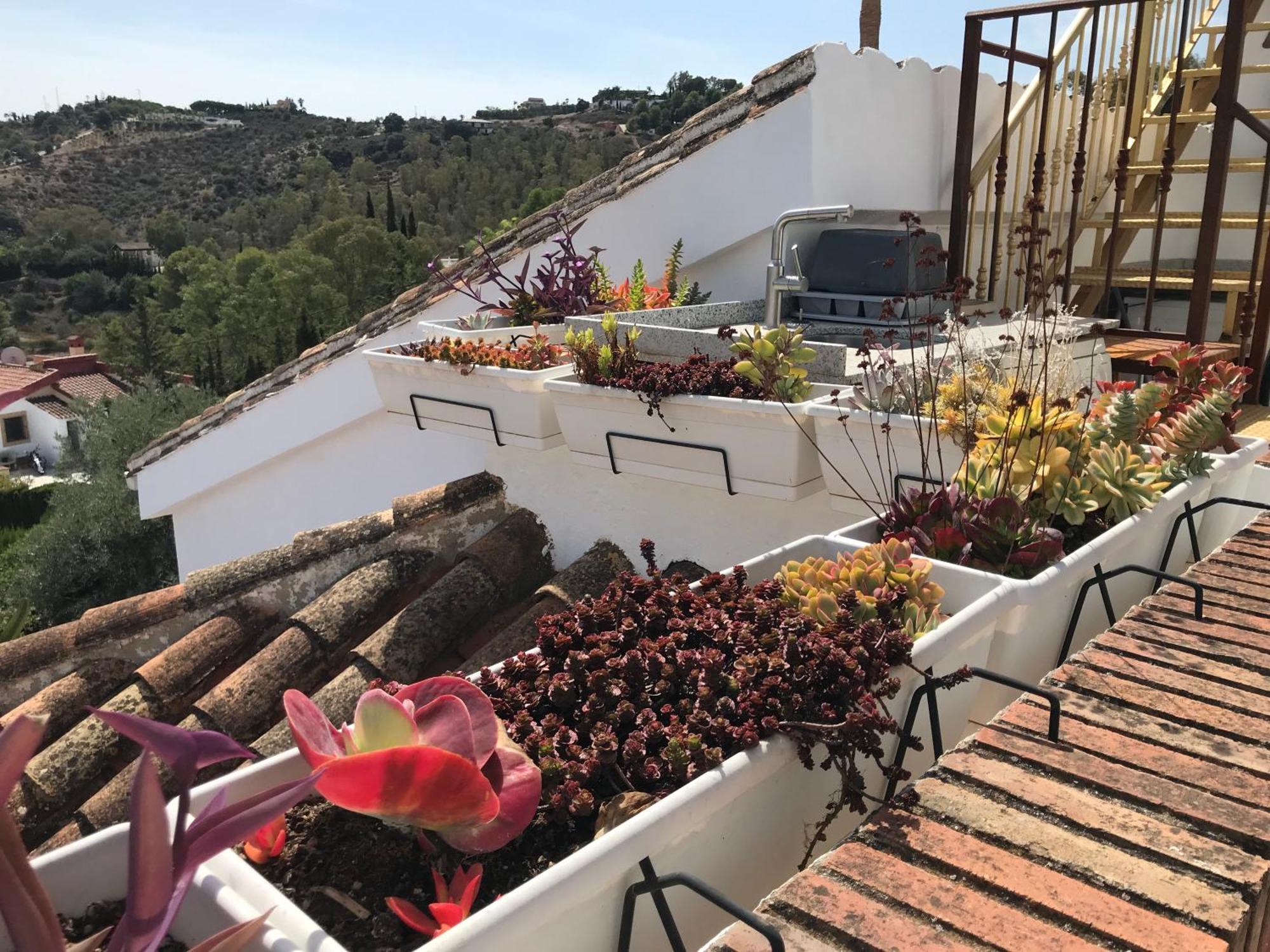 Studio Views Apartment, Cortijo Fruitful Hills Málaga Eksteriør bilde